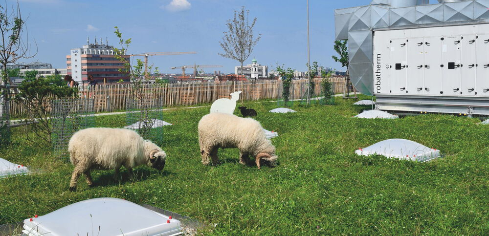 Rural paradise in the middle of Munich: the rooftop of Werk3, the very heart of the new Werksviertel. Rural paradise in the middle of Munich: the rooftop of Werk3, the very heart of the new Werksviertel.